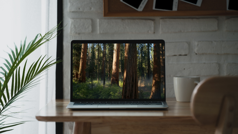 macOS 15 Sequoia: launch date, latest news, rumors, and everything we know